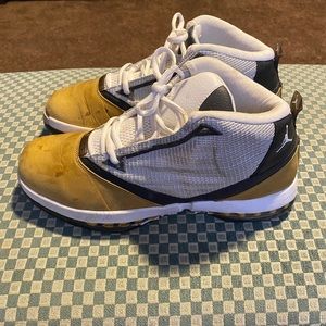 Men's Air Jordan XVI+ (size 10.5)